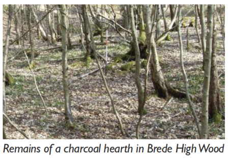 Charcoal Pit in Brede High Woods.png